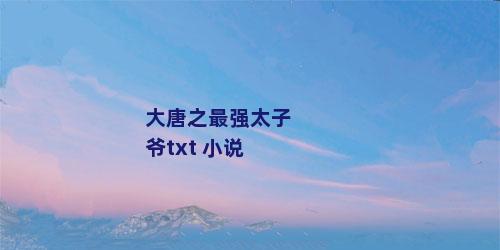 大唐之最强太子爷txt 小说